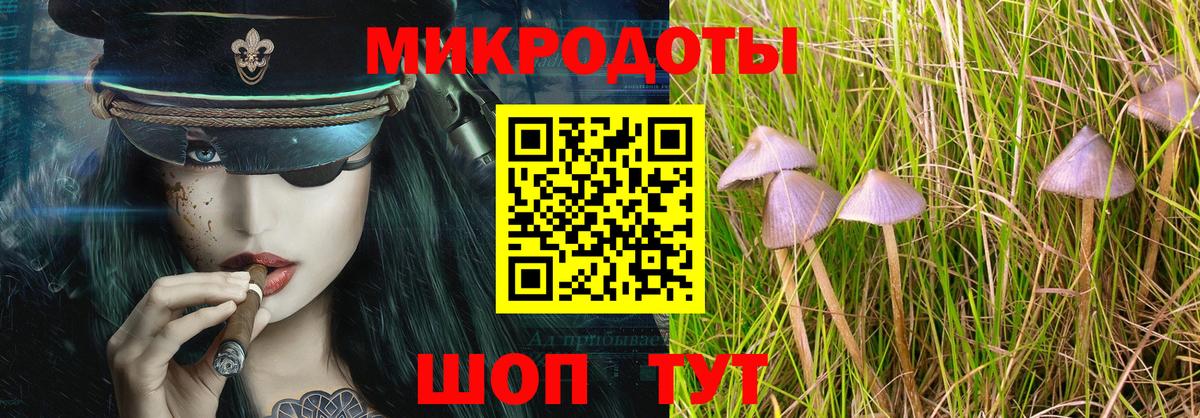 Псилоцибиновые грибы Psilocybine cubensis Ликино-Дулёво