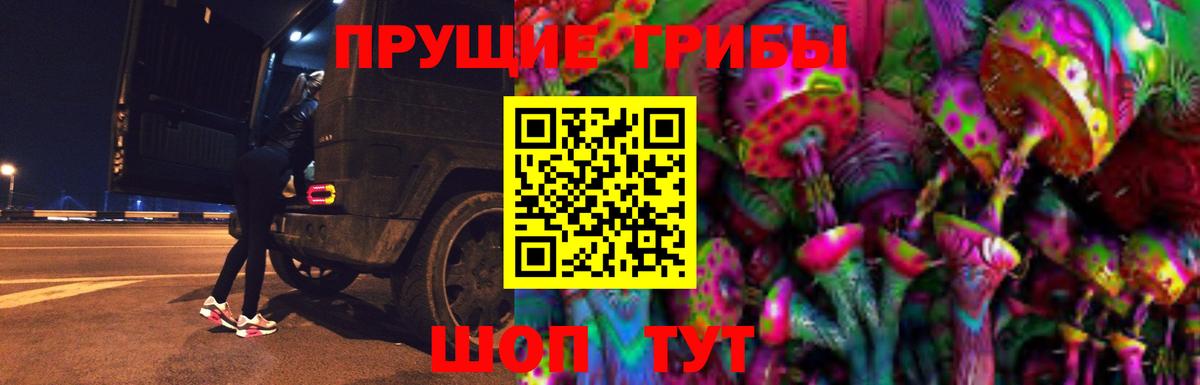 Ликино-Дулёво  Галлюциногенные грибы MAGIC MUSHROOMS  Вход с VPN 
